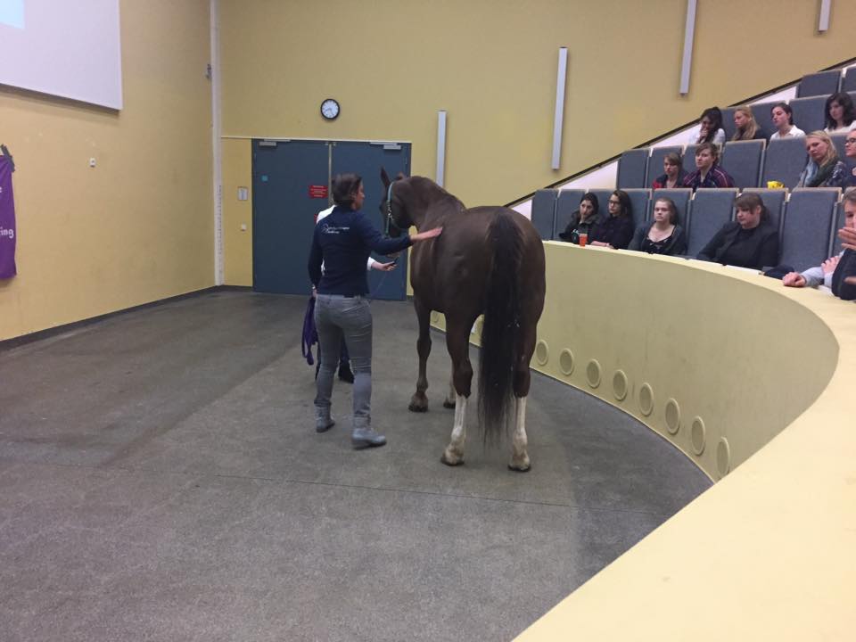 afbeelding presentatie faculteut utrecht